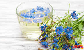 عرق کاسنی در درمان زردی نوزاد